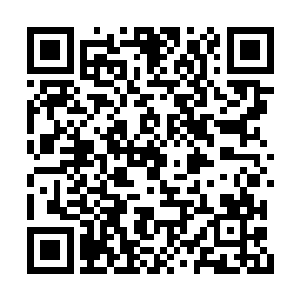 这时双头裂体兽分出一个裂体身躯将符宝袋卷起二维码生成