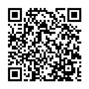 这时叶秋感觉到对方没有先前最初的那种淡定从容的感觉二维码生成