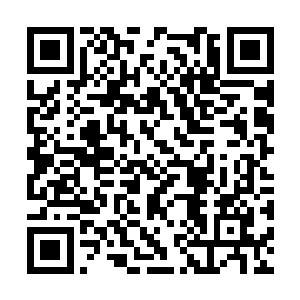 这时毛丹她们我班的几个女生连忙给我递来卫生纸二维码生成