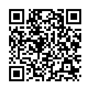 这是一个对无尽海域武者来说极其陌生的名字二维码生成