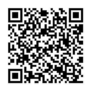 这是个从学院时期就跟在奥利维亚身后的年轻军官二维码生成