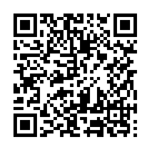 这是人工养殖黑魔虾能够成功的最重要的一个原因二维码生成