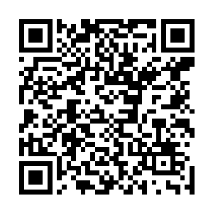 这是他放在江山社稷图内唯一一件没有沾染灵气的普通工具二维码生成