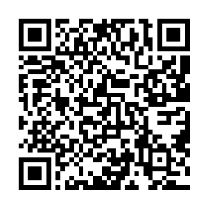 这是大多数人在看到金剑宗山门所在剑术峰的第一个感觉二维码生成