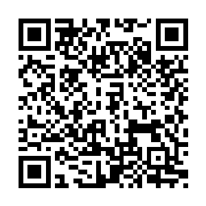 这是尊者级别以上的强者交手才产生的能量波动二维码生成