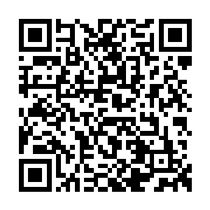 这是惊云堂输了不甘心要爆发更深层次的战斗么二维码生成