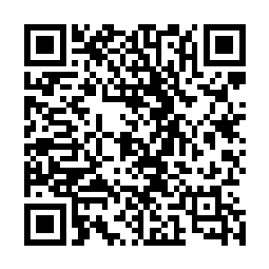 这是我们公司的宣传资料而以前所举办过的会展的一些资料二维码生成