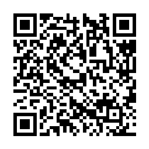 这是我这么多年来所积攒的有关医术和炼丹的东西二维码生成