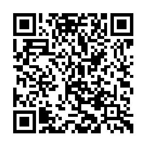 这是继严未央之后第二个人对韩希夷说这样的话二维码生成