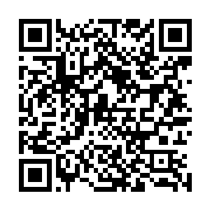 这是领悟了并懂得借用天地之力的万象境宗师才拥有的气息二维码生成