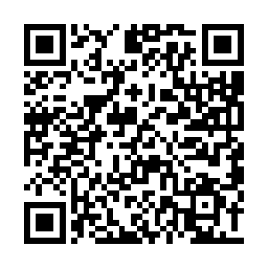 这本龙虎塑身诀是从一名巅峰武圣的手中获得的二维码生成