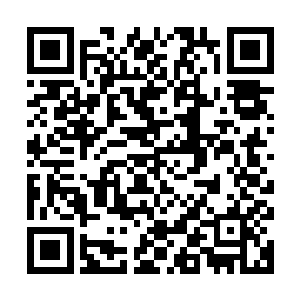 这机甲战士可没听说过他们机甲上装备的这个链锤还有什么类似二维码生成