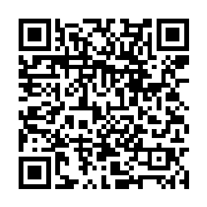 这机身上和马桶上那些凡是被刮得稀里哗啦的地方二维码生成