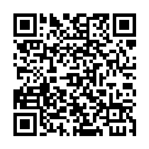 这条本来是史无前例的龙脉被林封谨变相的削弱了以后二维码生成