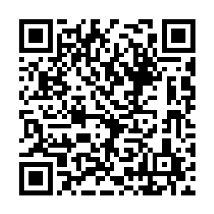 这架双发螺旋桨商务机的发动机已经开始停止运转二维码生成
