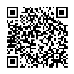 这栋半藏在丛林中的法式乡村别墅就很合巴克的心思了二维码生成