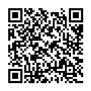 这样一个公司居然能拿到一号公路最好的两个标段二维码生成