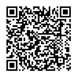 这样不顾后果的继续发展下去以后修真者就要彻底从地球上消失了二维码生成