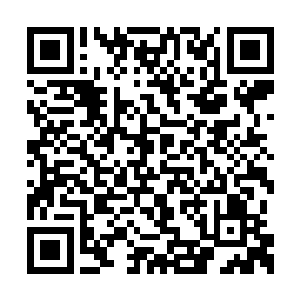这样刺耳的声响也是瞬间就传入了秦方的耳中了二维码生成
