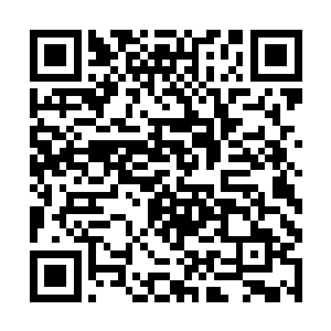 这样琳琅满目挂了一身的他还要伸手去扶古瑟夫大人二维码生成