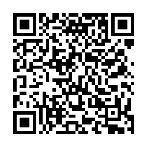 这样的守护却依然已经来不及抵挡深渊屠戮者紫瞳那把黑二维码生成