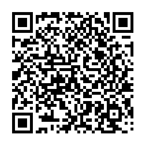 这样的殊荣恐怕就算是如今各大世家的青年翘楚也没有办法得到的荣誉啊二维码生成