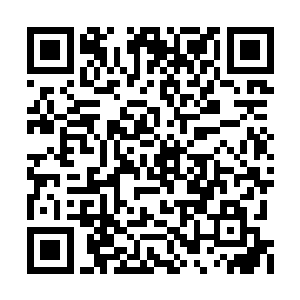 这样空旷的大房间就算地板屋顶都镶嵌满了木板二维码生成