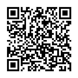 这次分发下去的丹药都是按照众人吸收能力所分配的二维码生成