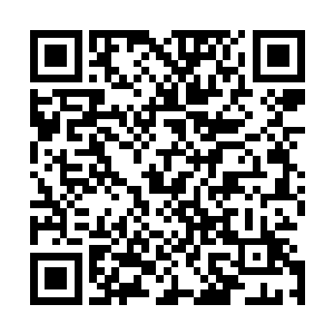 这次回去以后所有人都必须得接受利什曼病毒血清采样检查二维码生成