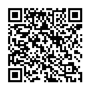 这次我不要脸挣的五万块也都准备给她上学和以后买房子用二维码生成