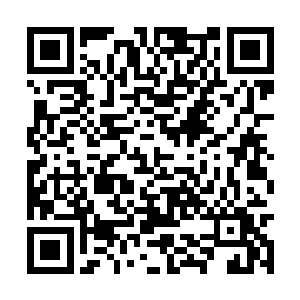 这次我想知道关于武道联盟西林府分堂赵松的消息二维码生成