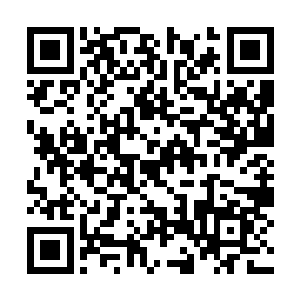 这次星空科技将普特利岛买下来并在这里大兴土木二维码生成