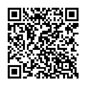 这次来看清了你们王室的面目也算是不虚此行了二维码生成