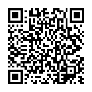 这次的恶斗就是苗毅进入荒古死地后外界发生的最大事件二维码生成