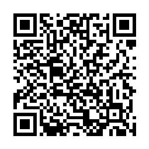 这正是卑职之前不敢对夫人说又要请夫人恕罪的原因所在二维码生成