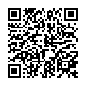 这正是她今晚真正想谈论的话题――瞥了大屏幕一眼二维码生成