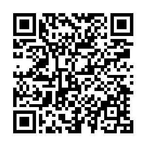 这段时间里除了埋头钻研学习修炼叶笑给他的几本毒经之外二维码生成
