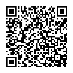 这河童的攻击比台灯妖怪的还要弱……它只是一只800攻的两星怪兽而已二维码生成