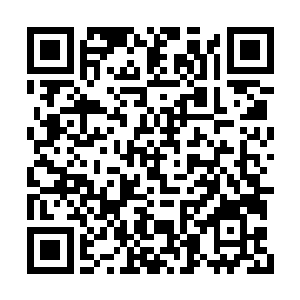 这深渊海域还有其他要夺取龙宫水府的水族存在二维码生成