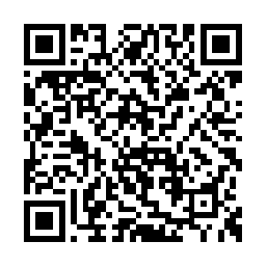 这炼气中期也不过是将他原本的不足给补了回来二维码生成