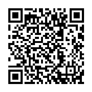 这片殿堂和秋日猎场一样压抑了他们的传奇法则二维码生成