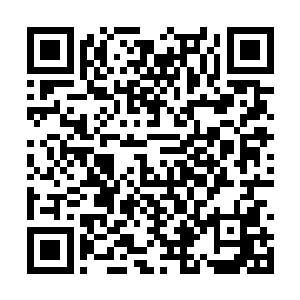 这片超级电浆洪流果然是依靠能量波动来搜索猎物二维码生成