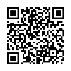 这玩意每次使用都要支付生命力的二维码生成