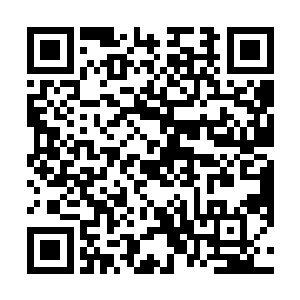 这百丈路程又连绵不绝浮现出近百位王仙芝的清洗身影二维码生成
