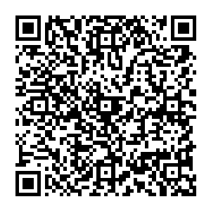 这盆艳毒花――人类既然这么叫那就这么叫吧――在漫长的岁月里其神奇的特性基本都消失了二维码生成