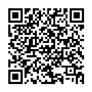 这种大炮响了都不跑一心坚守岗位的医生去哪里找二维码生成