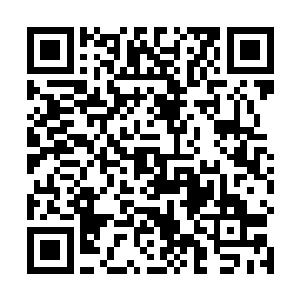 这种大规模兵力运输只有她们借助郡水府之力才能完成二维码生成