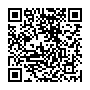 这种草药在今天的材料中算是最平常最不值钱的一种了二维码生成