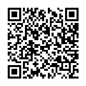 这立即引起了刚成立的新一届中央政府的高度重视二维码生成