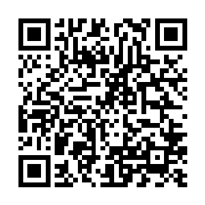 这纯粹是为了多卖几个美元而被迫穿上的渔网袜而已二维码生成